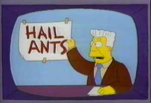 hail-ants