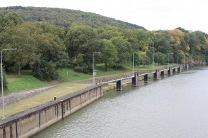 Unter einem dieser Büsche liegt der Bunkereingang.