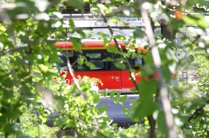 Am benachbarten Bahnsteig fahren noch die Züge in Richtung Pfalz ab.