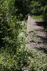 Bahnsteigkante