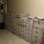 Säuberlich numeriert: Die Strahlenschutzsteine